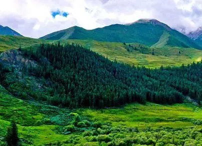 明月出天山,苍茫云海间,这个天山指的是祁连山